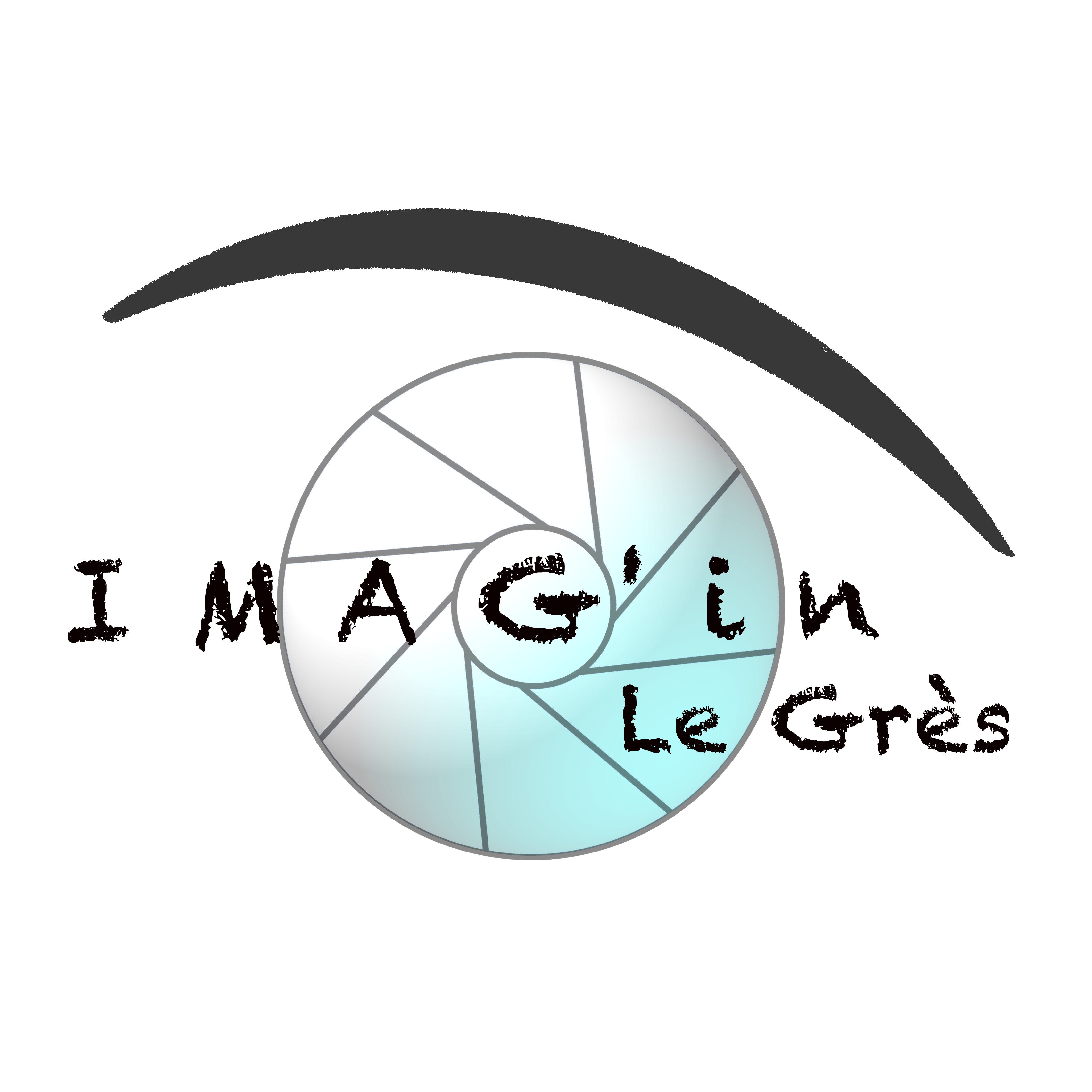 Logo IMAG'in