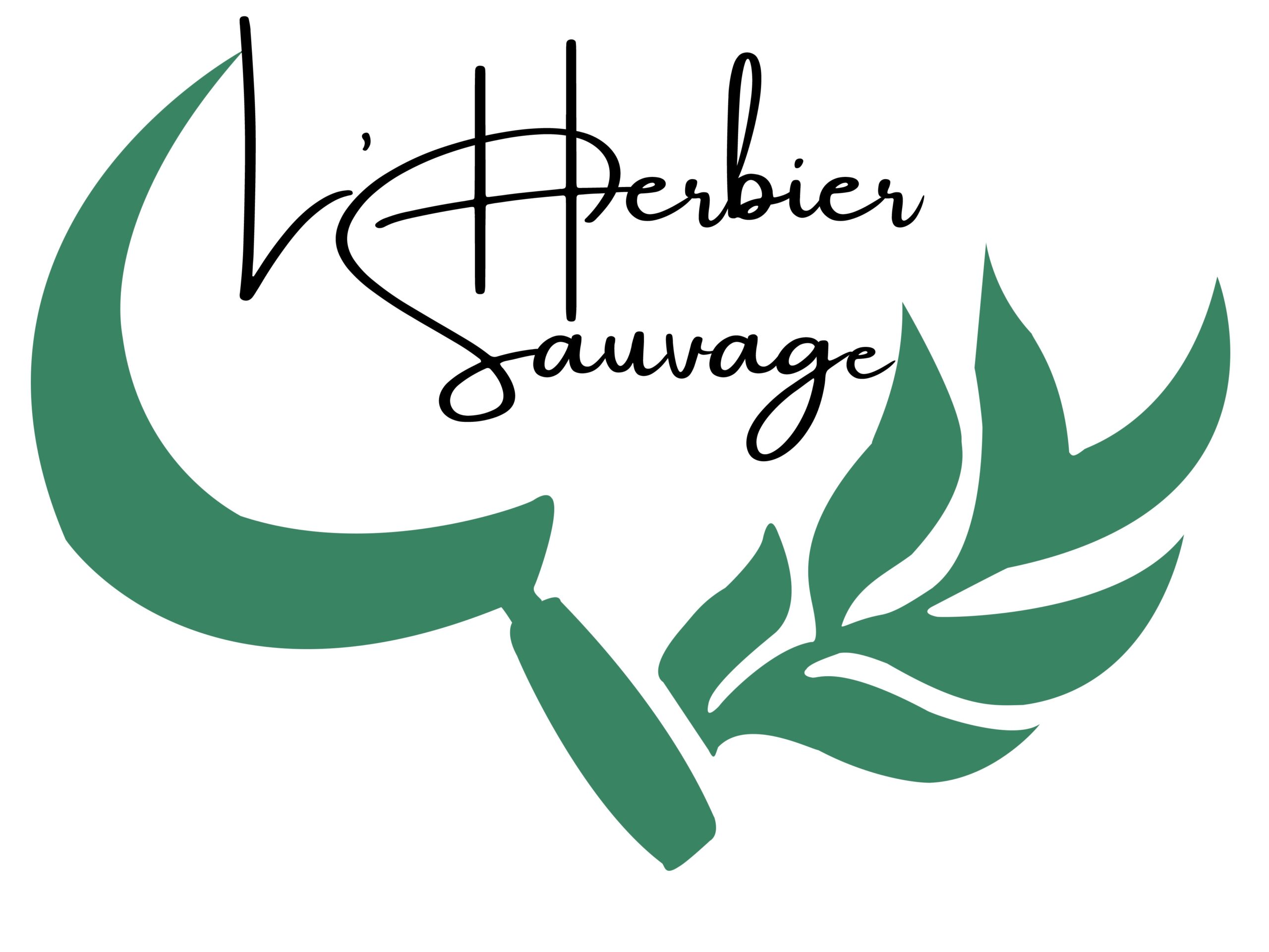 logo-vecteur - Antoine Federighi